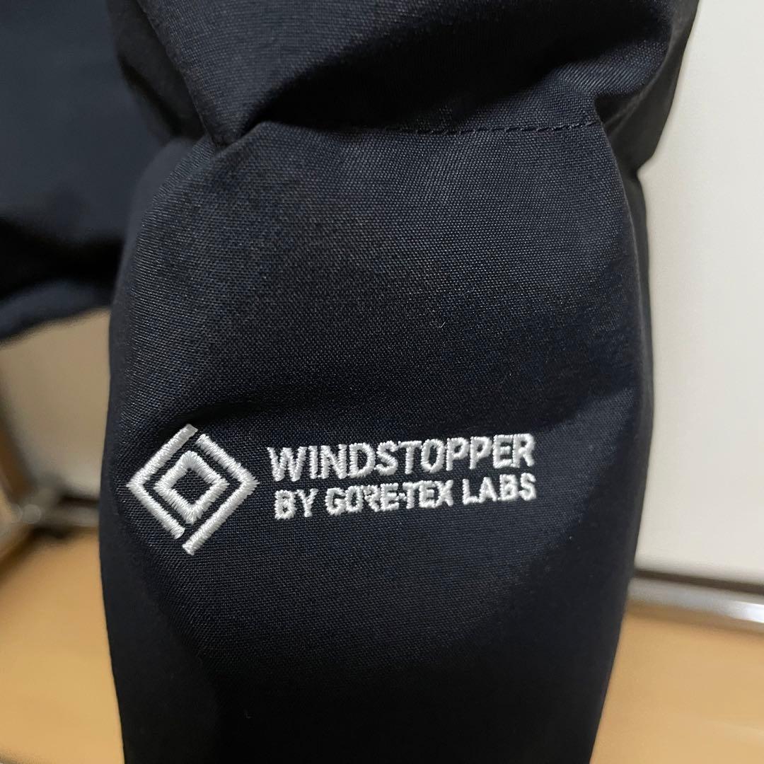 ノースフェイスオルター限定 GTXレザーヌプシジャケット【XXL