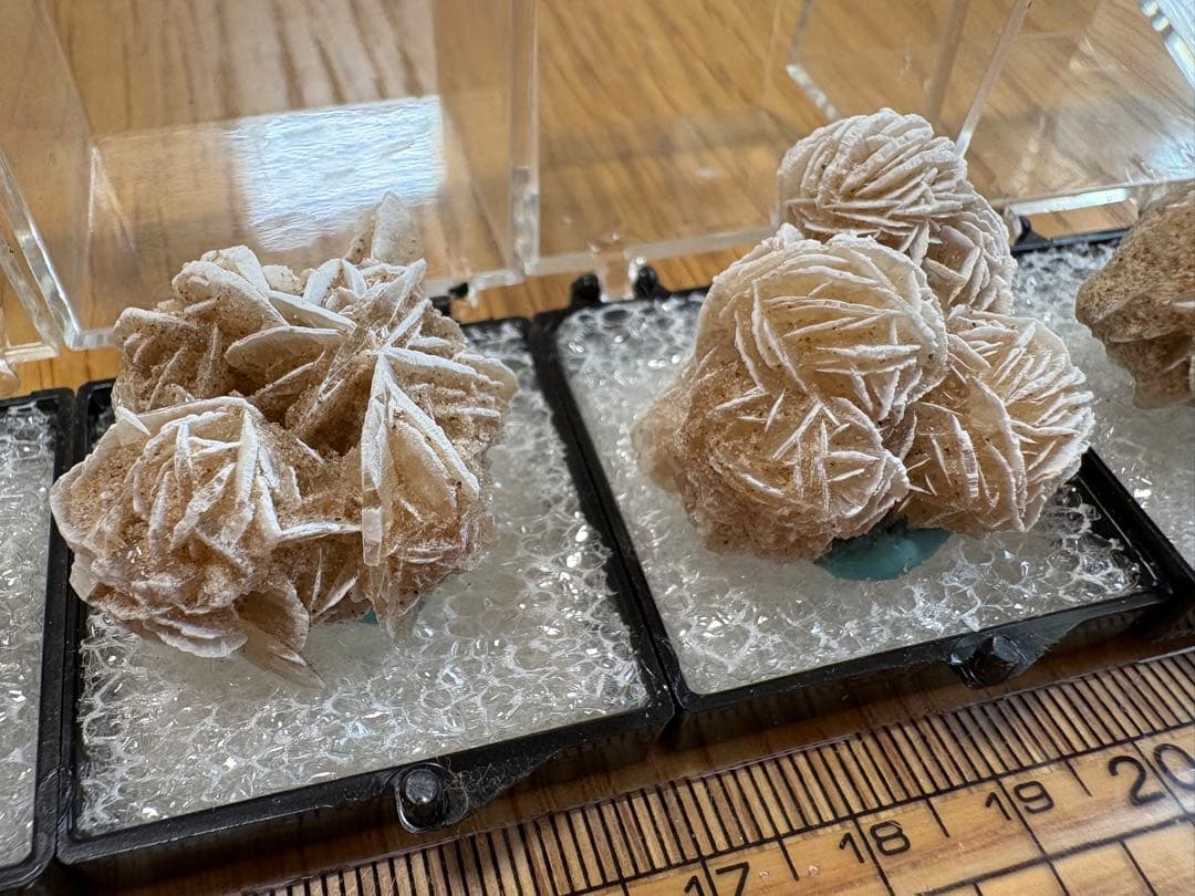 砂の結晶 砂漠の薔薇10個セット