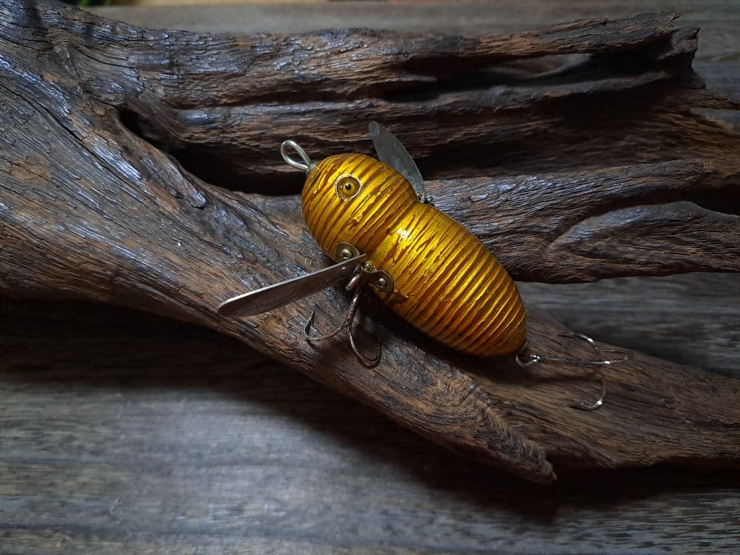 道楽　DOWLUCK　ドウラク　アブラゼミ　研出し