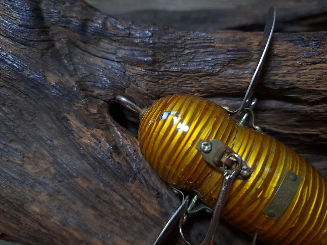 道楽　DOWLUCK　ドウラク　アブラゼミ　研出し