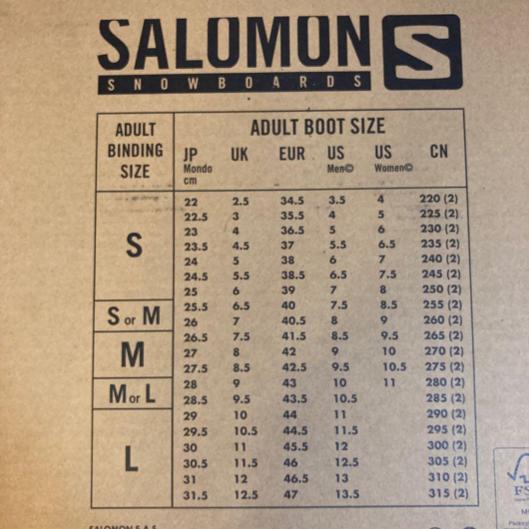 SALOMON HOLOGRAM W ホログラム ビンディングS
