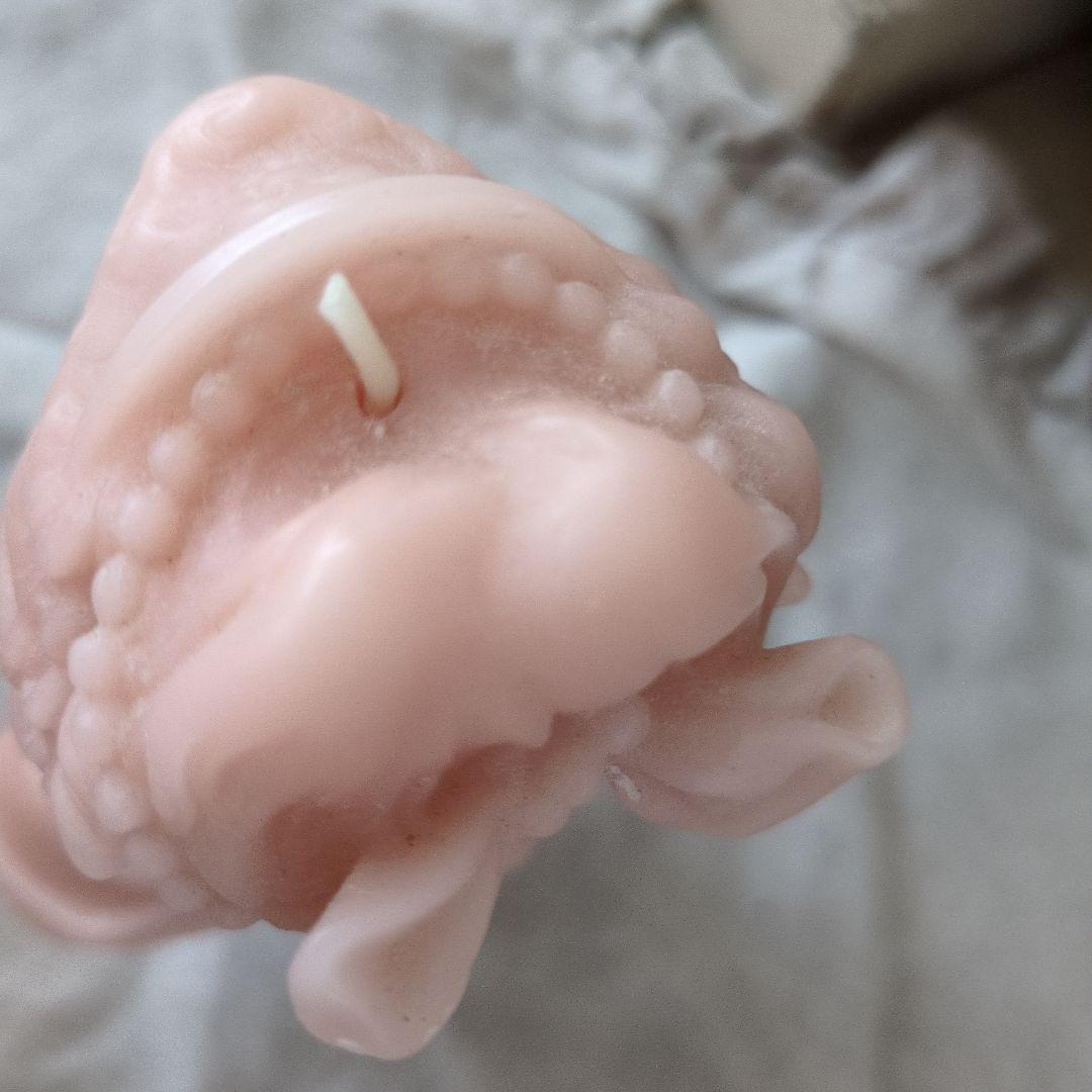 cire trudon　マリーアントワネット　キャンドル　シールトゥルードン