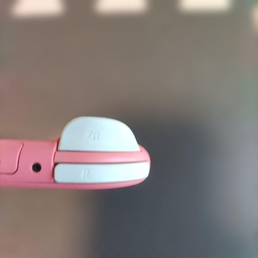 Nintendo Switch Lite ピンク ジャンク 液晶画面要確認 新品