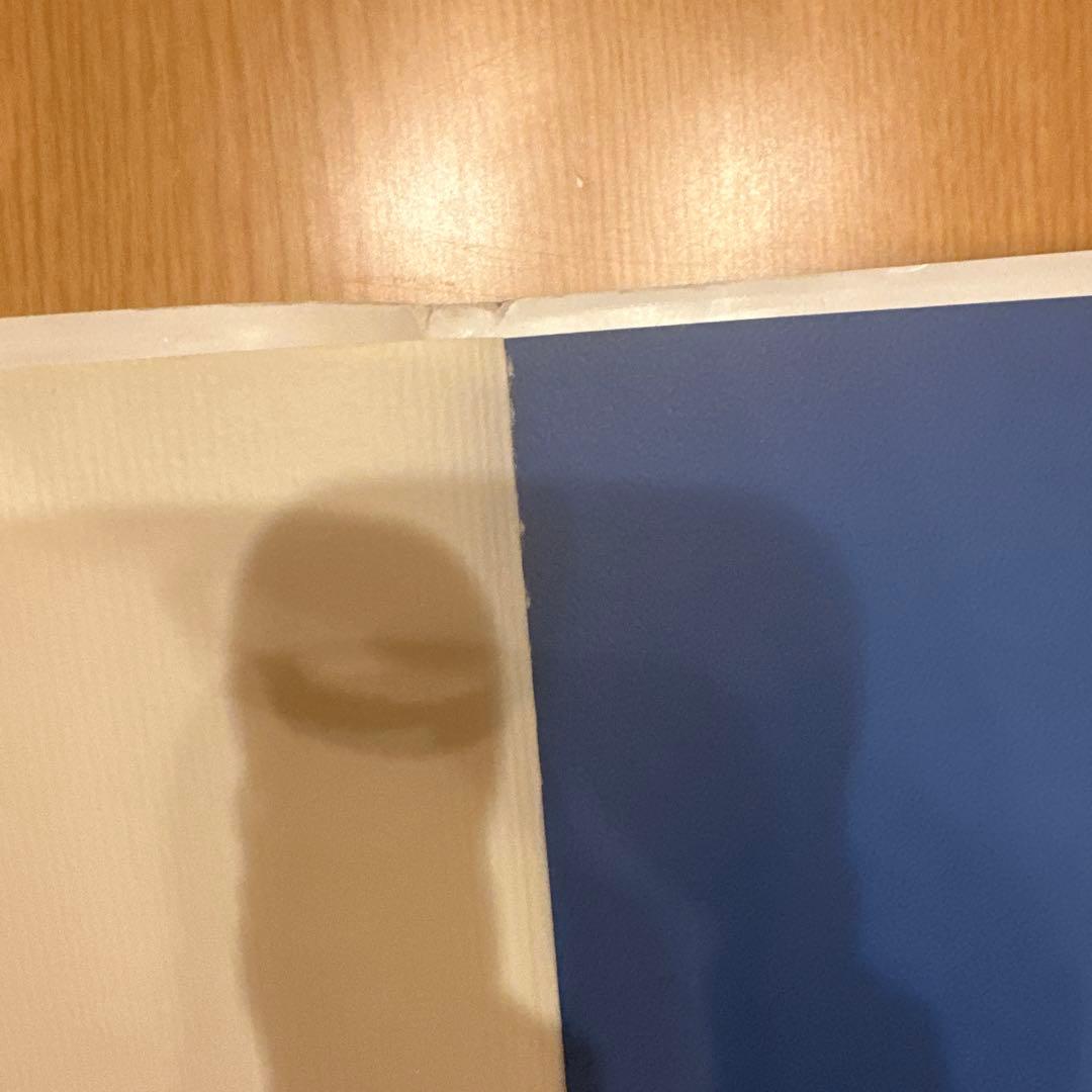 いつか、オルカ - オルカとトレーナーの記録 - メルカリ