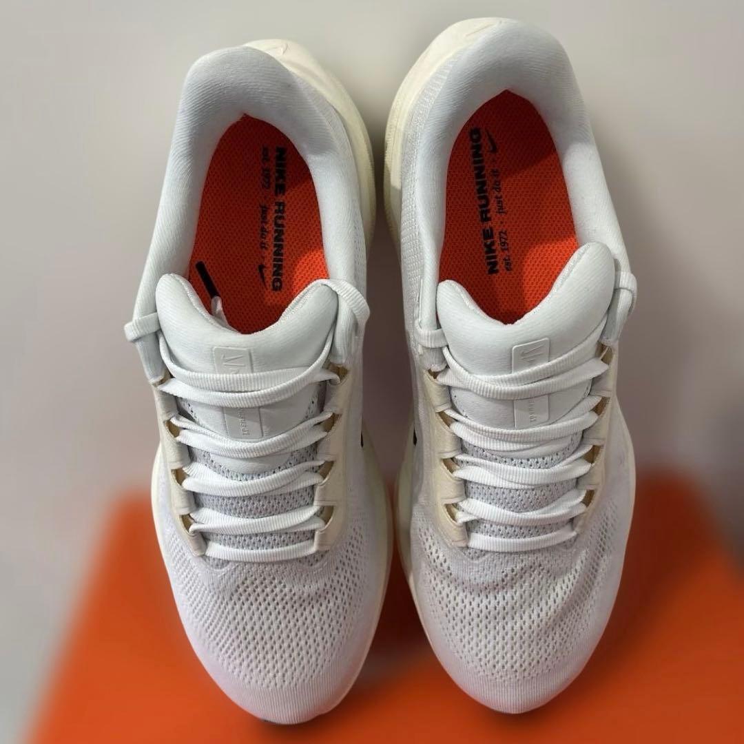 ナイキ　ペガサス41 26.5cm