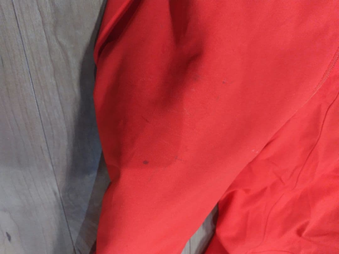 Phenixフェニックス⭐メンズ　スキーウェア パンツ Lサイズ 非売品色