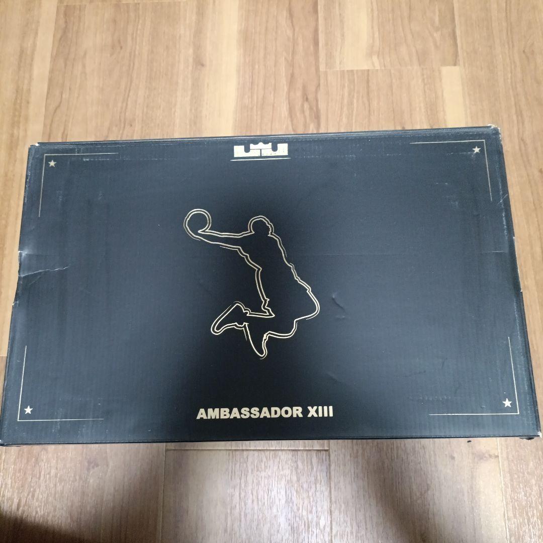 シューズ(男性用) Nike Ambassador XIII