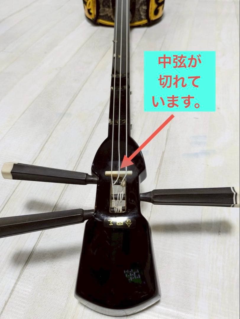 三線　胴 蛇皮（裏側破れ）【ケース付き】 訳あり