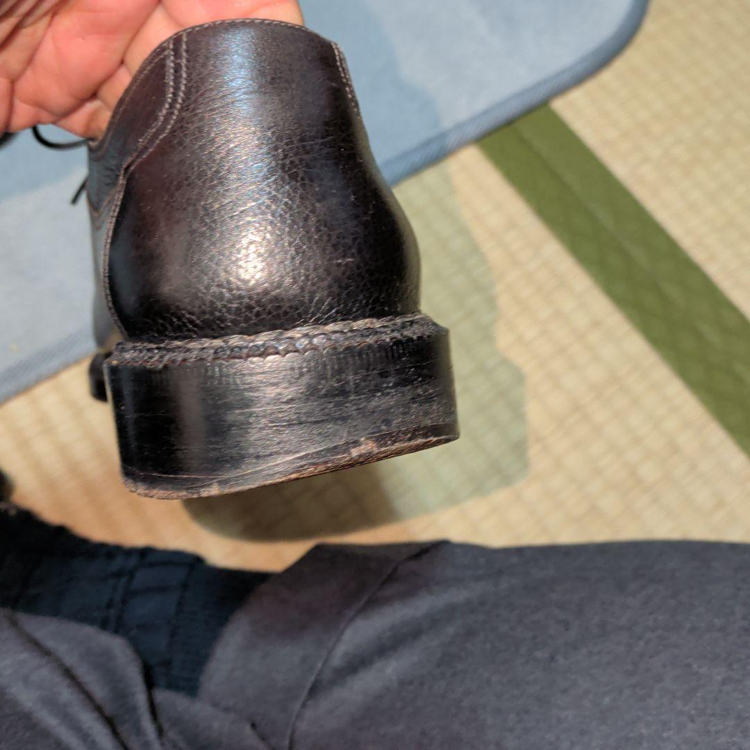 アリストクリティコ別注 シルバノラッタンジ 25.5cm