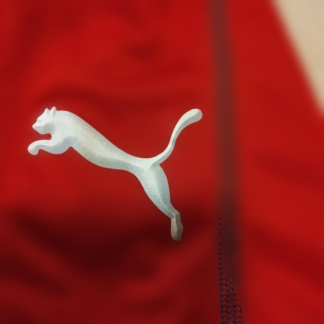 Brew SAGA　KYUSYU INAX FC Puma 　 10番