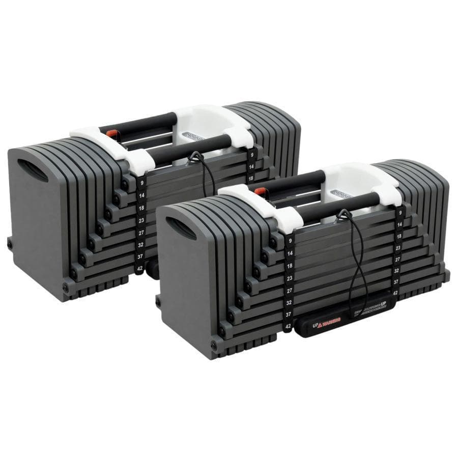 パワーブロック ダンベル 可変式 筋トレ 42kg 2個 24段階調節 2825