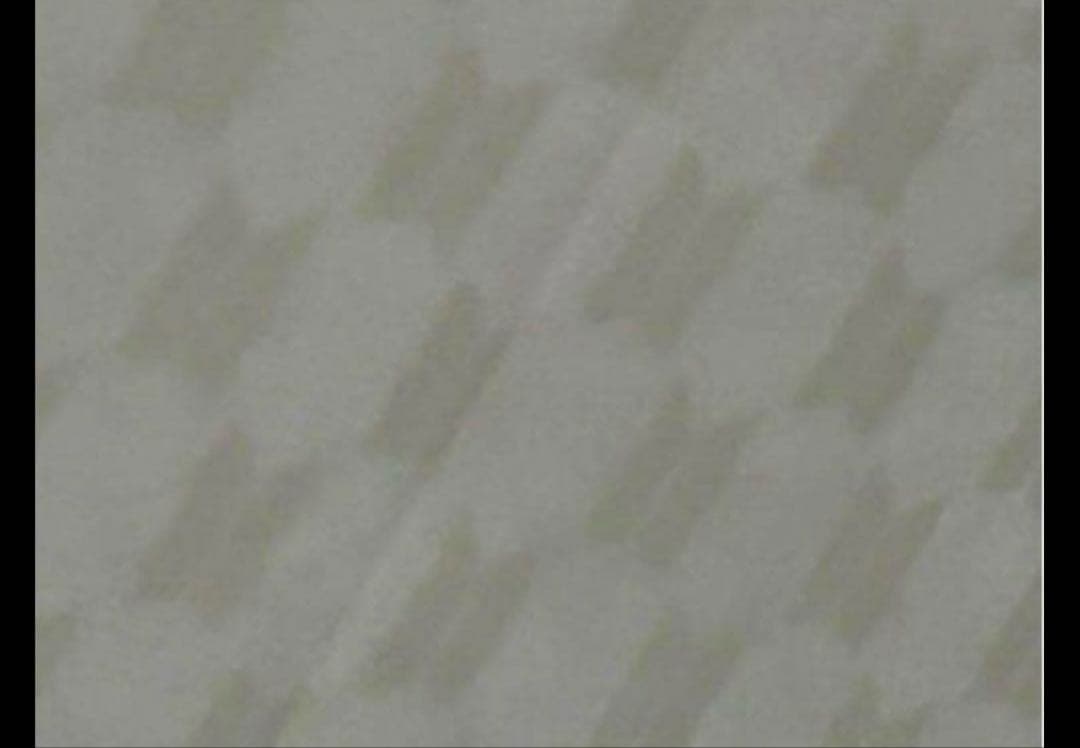 BTS 日本公式FC購入　ジャンプ傘(カバー付き)黒