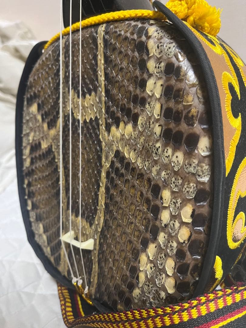 三線本体 ハードケース付き