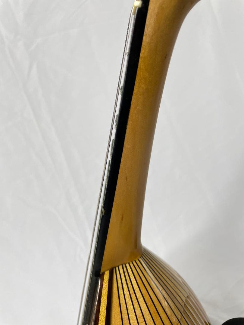 SUZUKI/スズキ クラシックマンドリン M-100