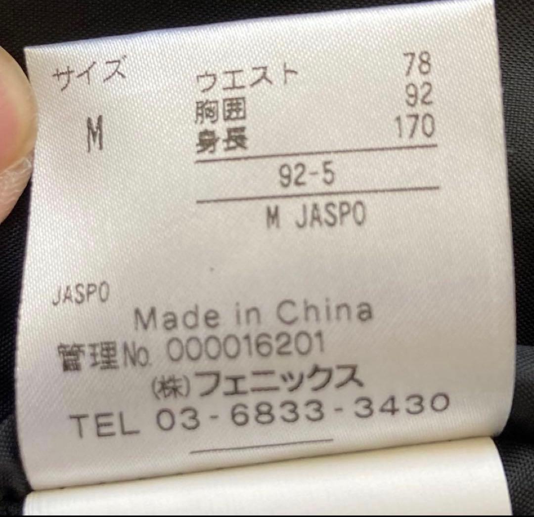 phenix SG スキー スノボ ウェア 上下 メンズM