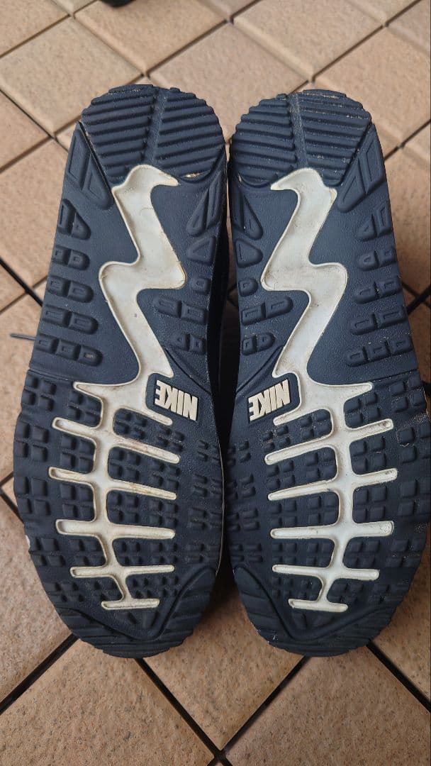 シューズ(男性用) Nike Air Max 90G