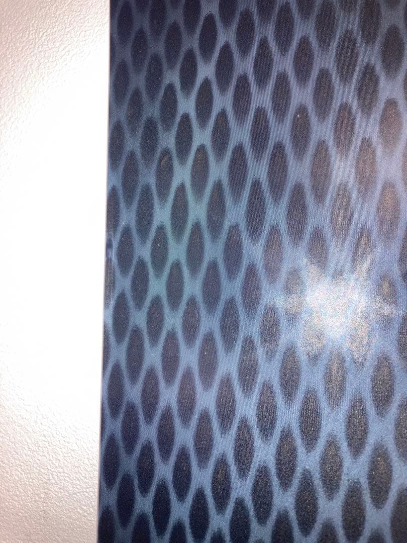 アルペンボード　F2 スピードスター　ワールドカップ　183cm