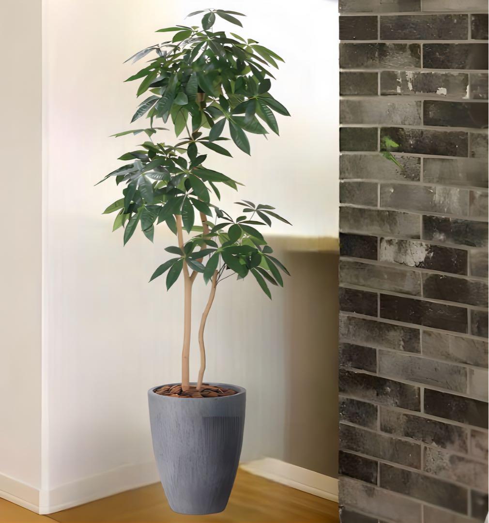 光触媒　人工観葉植物　フェイクグリーン　ナチュラルパキラ 1.8m