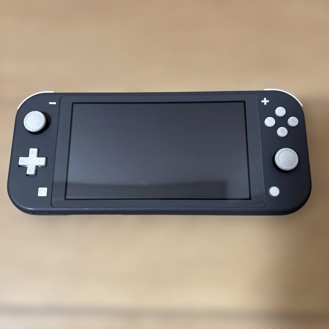Nintendo Switch Lite 充電器及びマイクロSD32GB付き