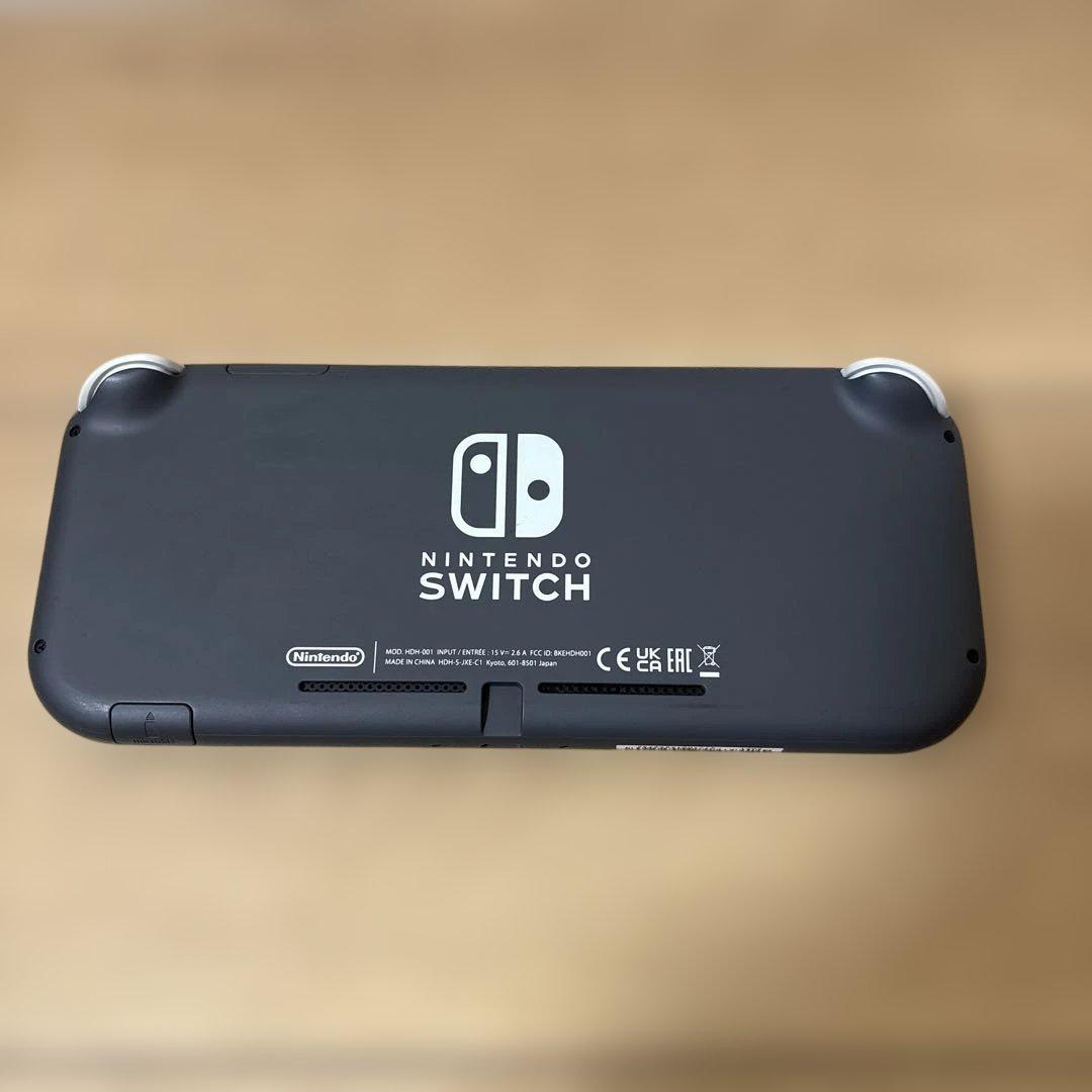 Nintendo Switch Lite 充電器及びマイクロSD32GB付き