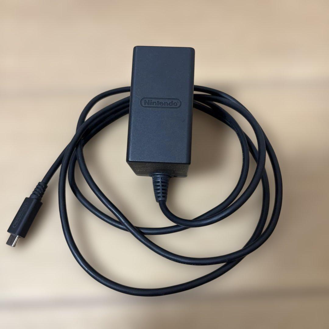 Nintendo Switch Lite 充電器及びマイクロSD32GB付き