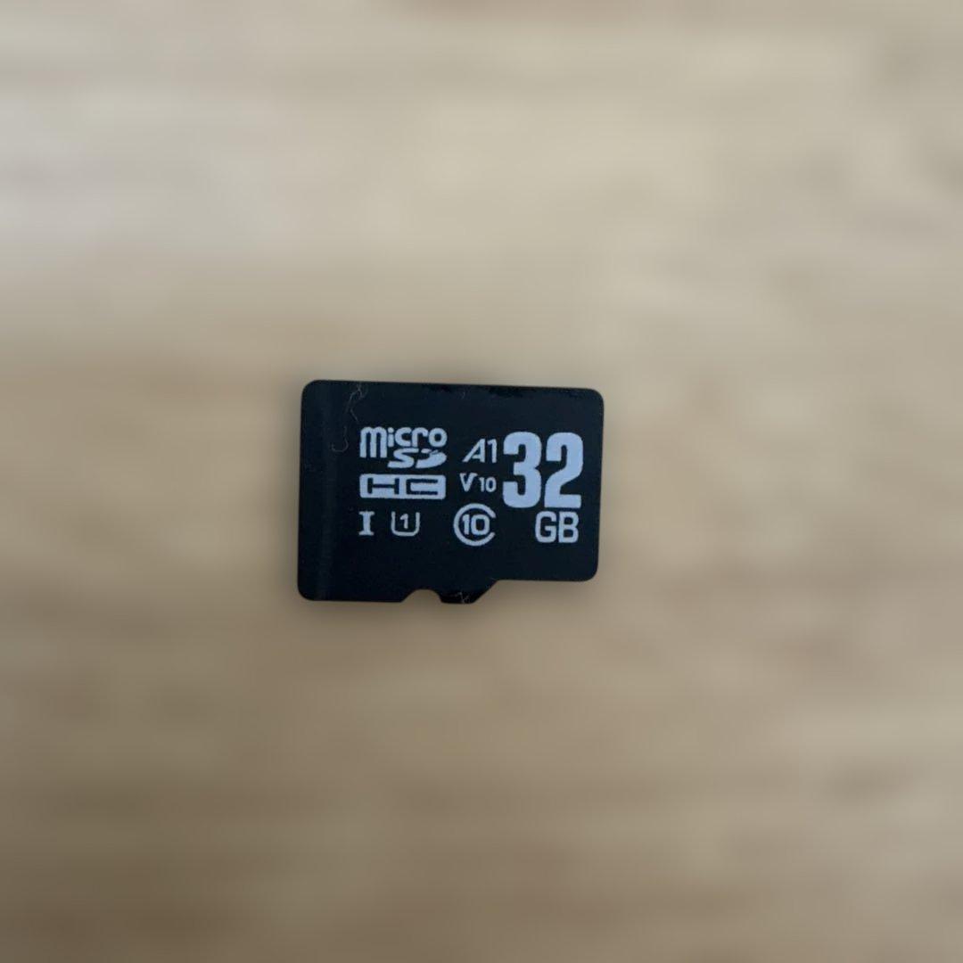 Nintendo Switch Lite 充電器及びマイクロSD32GB付き