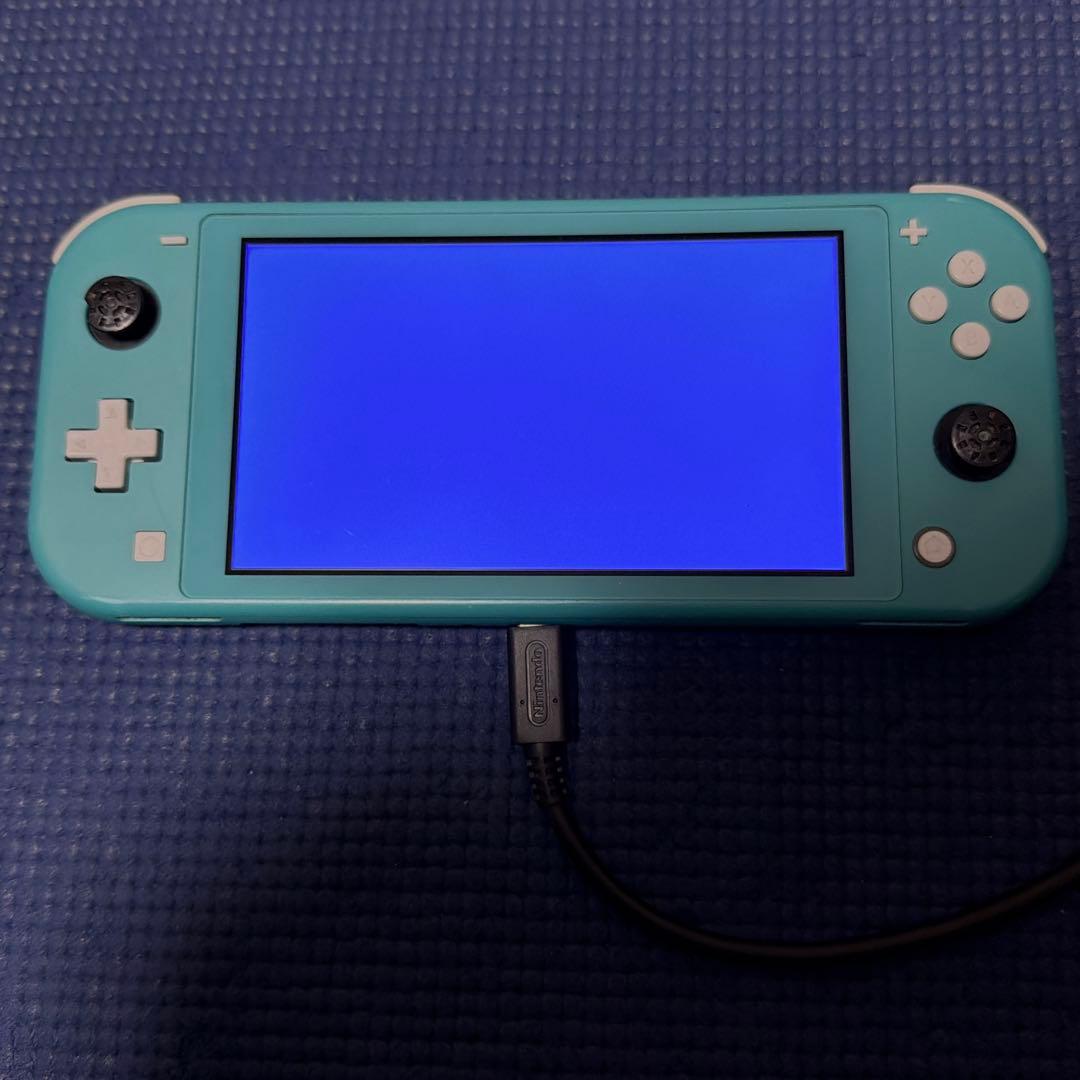 訳あり Switch Lite＋初代DS＋DSLITE 本体セット ジャンク