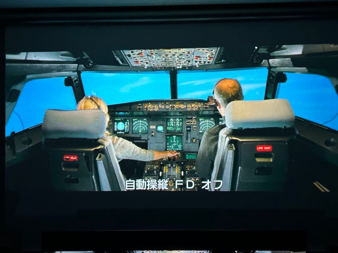 Panasonic TH-AE2000 ET-LAE1000付 プロジェクター