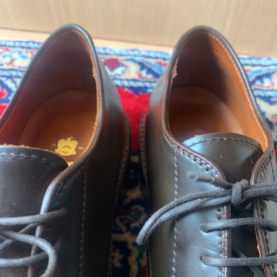 Dblueオールデン　Aledn シガー　コードバン9.5D D1660C