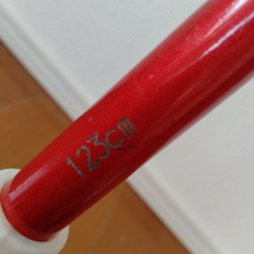 SINANO INTRA カーボンポール123cm シナノイントラ