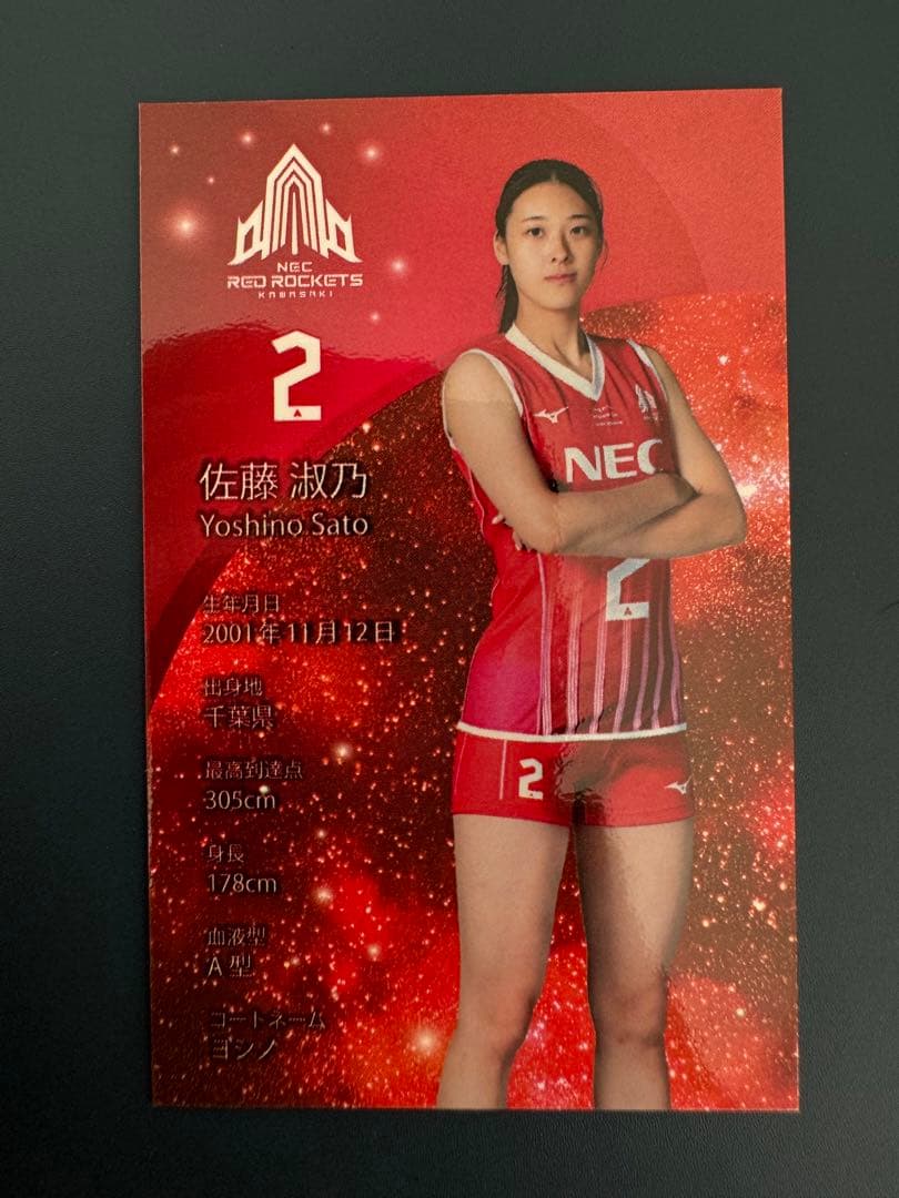 NECレッドロケッツ 2024-25 トレーディングカード 佐藤淑乃 日本代表