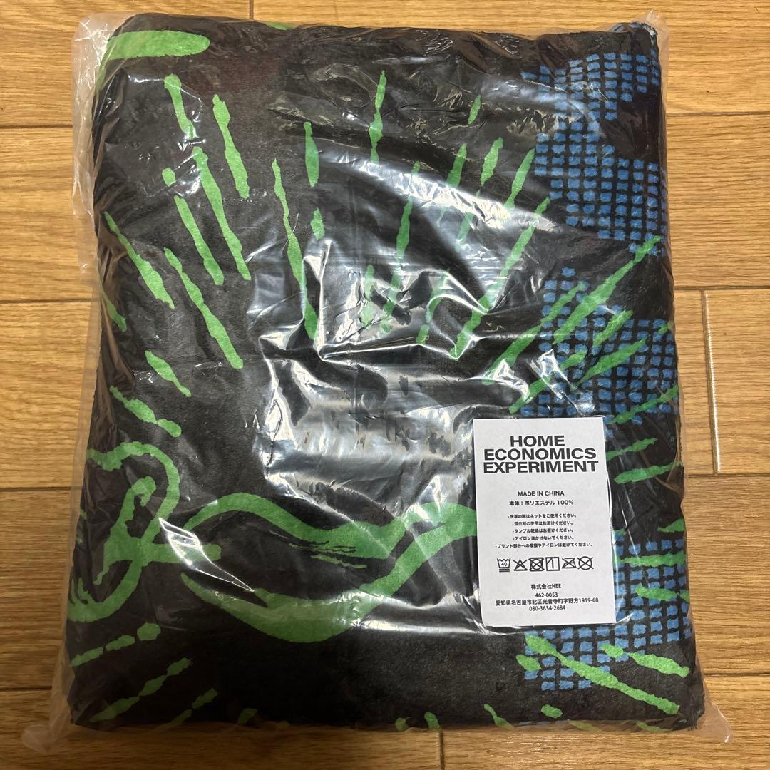  economics experiment ブランケット