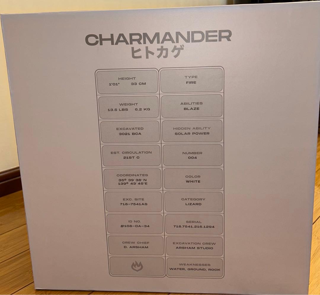 ダニエルアーシャム × ポケモン ヒトカゲ　Daniel Arsham