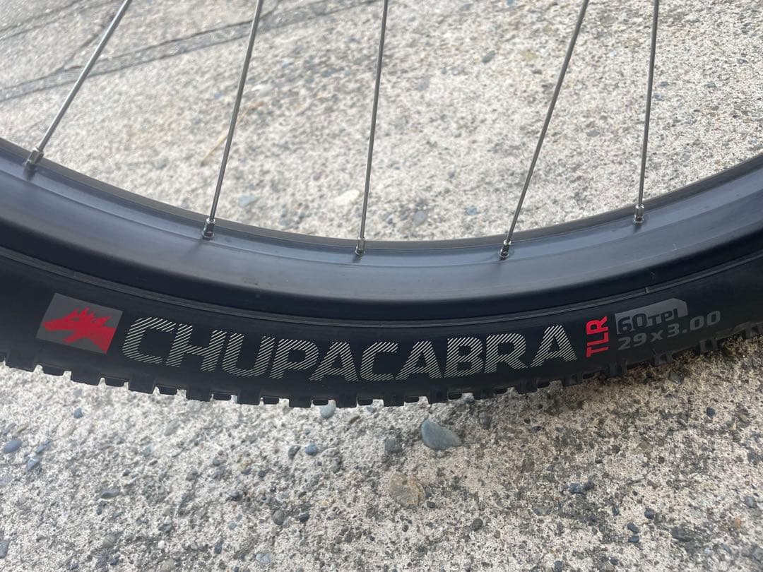 送料込 TREK STACHE 5 XT NINER カーボンフォーク 29+