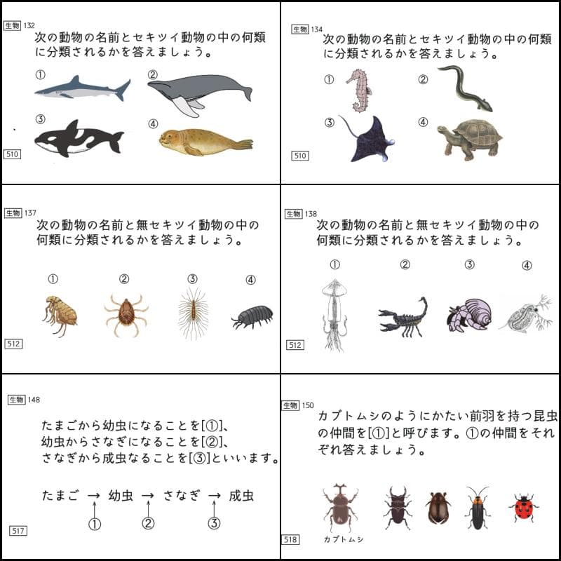 中学受験 暗記カード 理科 生物 サピックス 予習シリーズ コアプラス