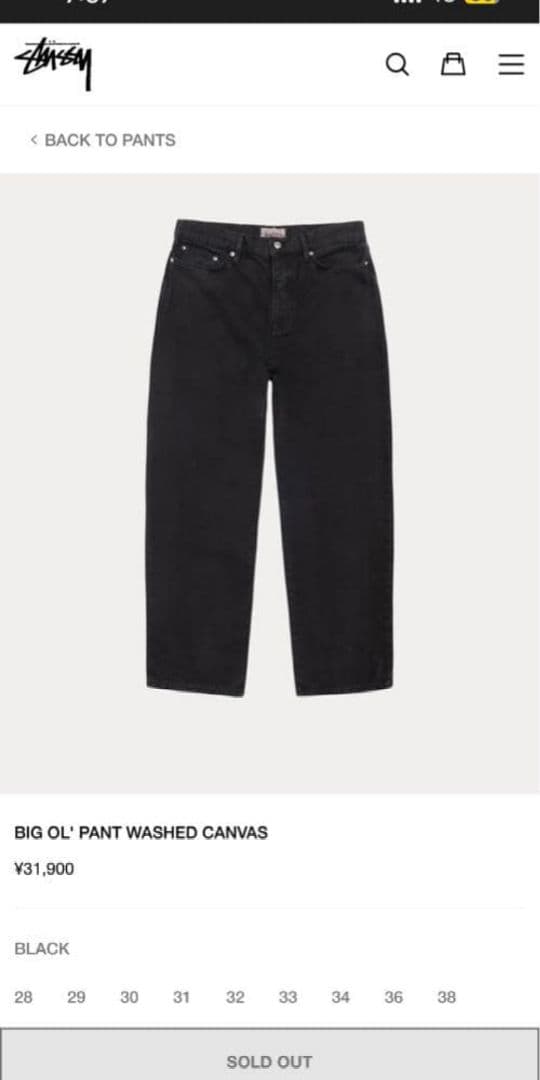 Stussy BIG OL' PANT WASHED CANVAS ブラック