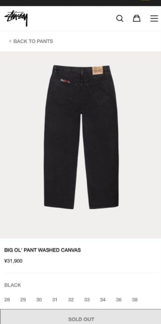 Stussy BIG OL' PANT WASHED CANVAS ブラック