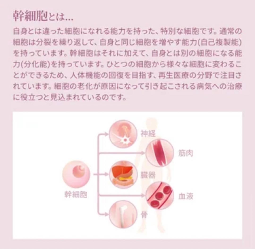 プレゼント付き　セルロジーコスメ5点セット