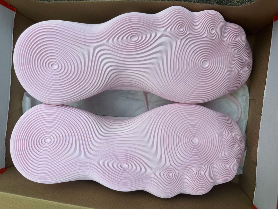 シューズ(男性用) Nike HYPERDUNK 2017 LOW EP 29cm