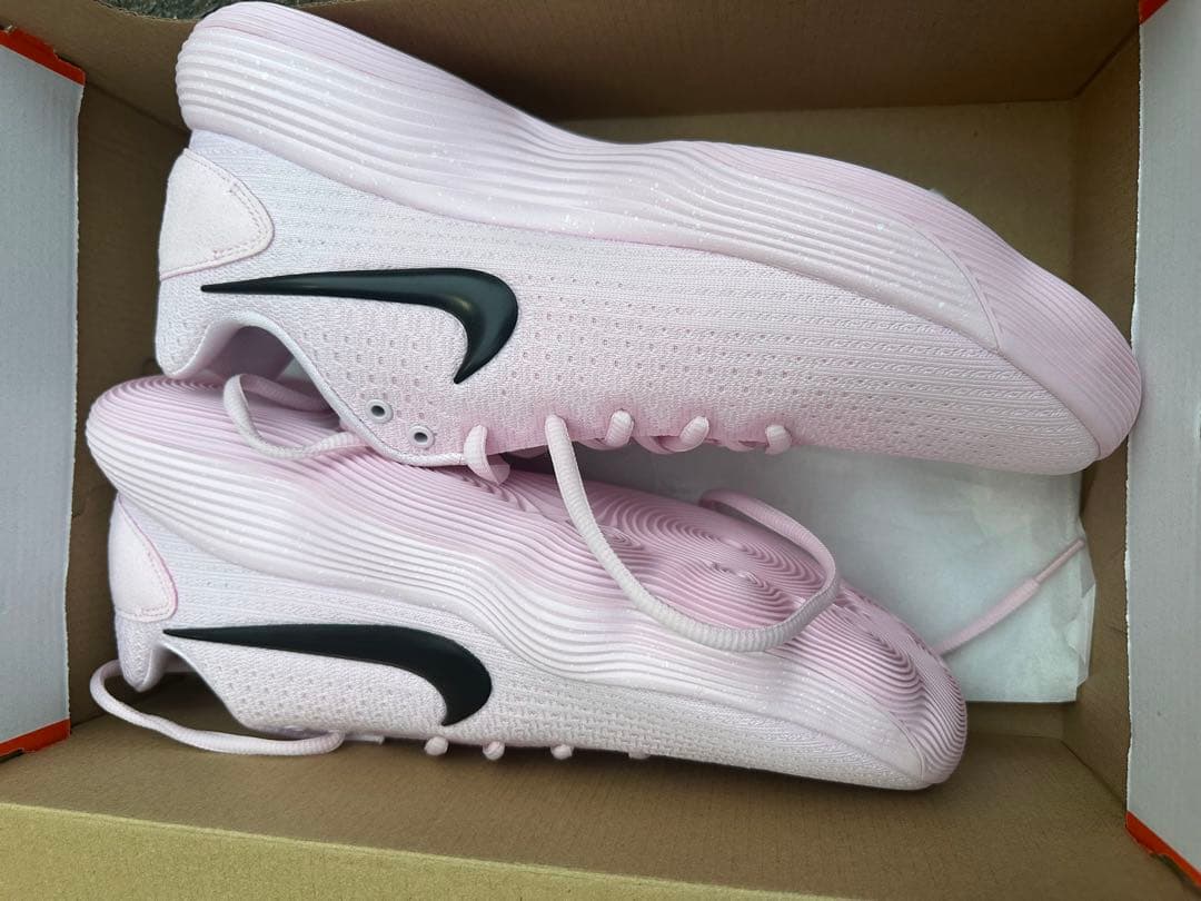 シューズ(男性用) Nike HYPERDUNK 2017 LOW EP 29cm