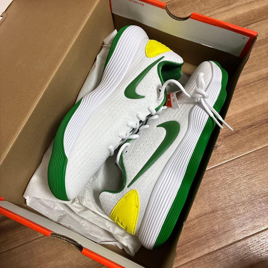 シューズ(男性用) NIKE Hyperdunk 2017 LOW EP