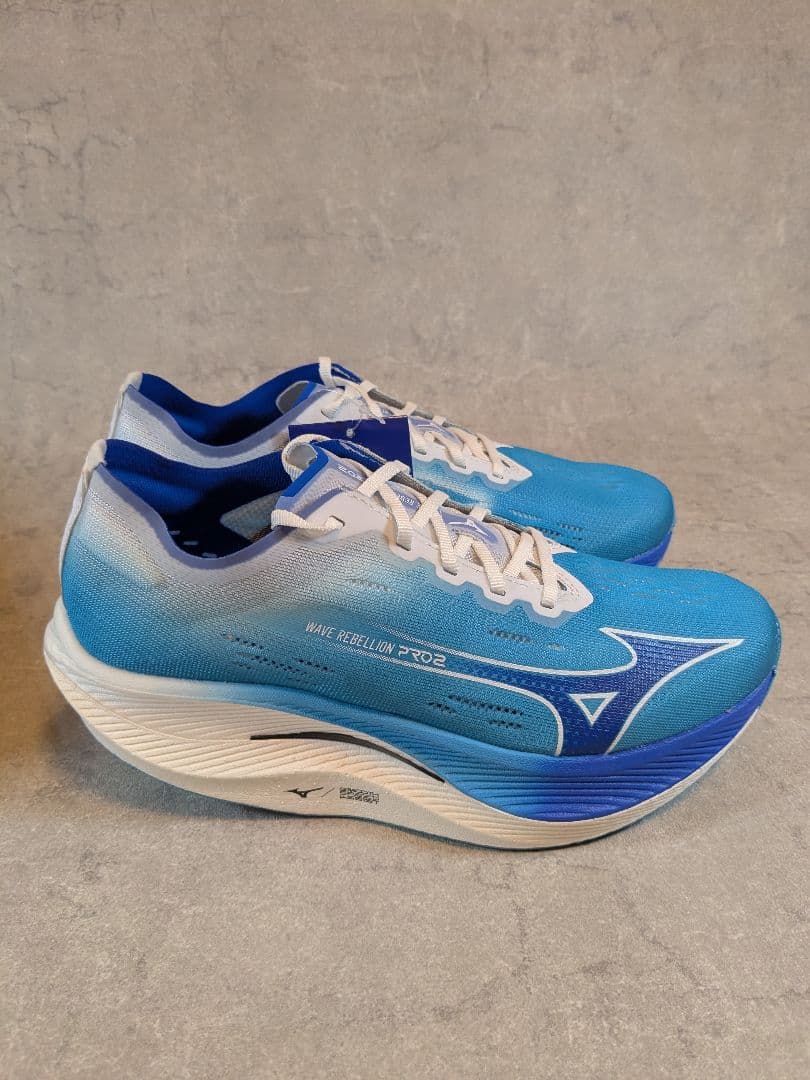 ミズノ MIZUNO メンズ ランニングシューズ ウエーブリベリオンプロ2