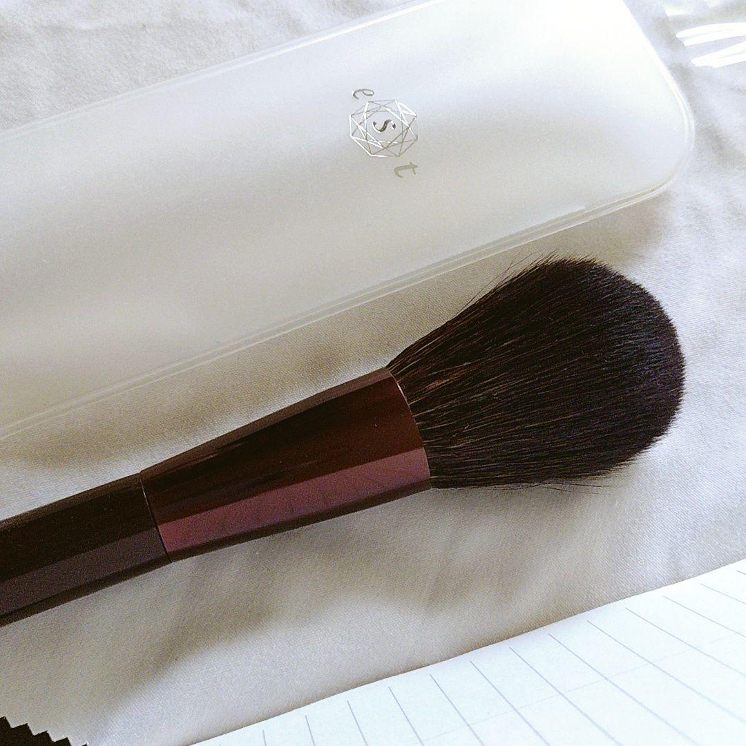 est エスト フェイスブラシ クリアケース付き チークブラシ 天然灰リス毛