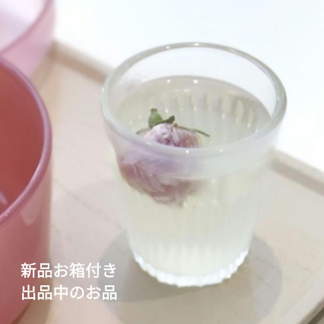 希少 安齋賢太 小鉢湯呑1客 伊藤聡信剛俊鈴木環石原稔久小野哲平内田京子鋼一