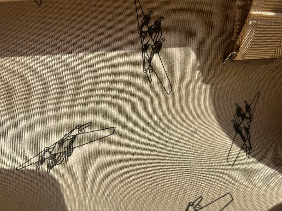 ⭐︎専用⭐︎RIMOWA 35L ユナイテッドアローズサルサ2輪 機内持込可