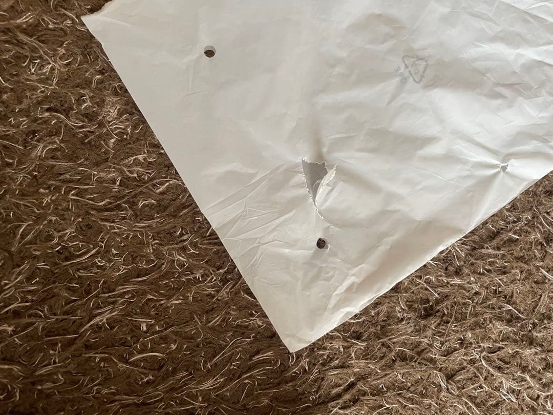 SIXPAD Power Roller Twins ホワイト