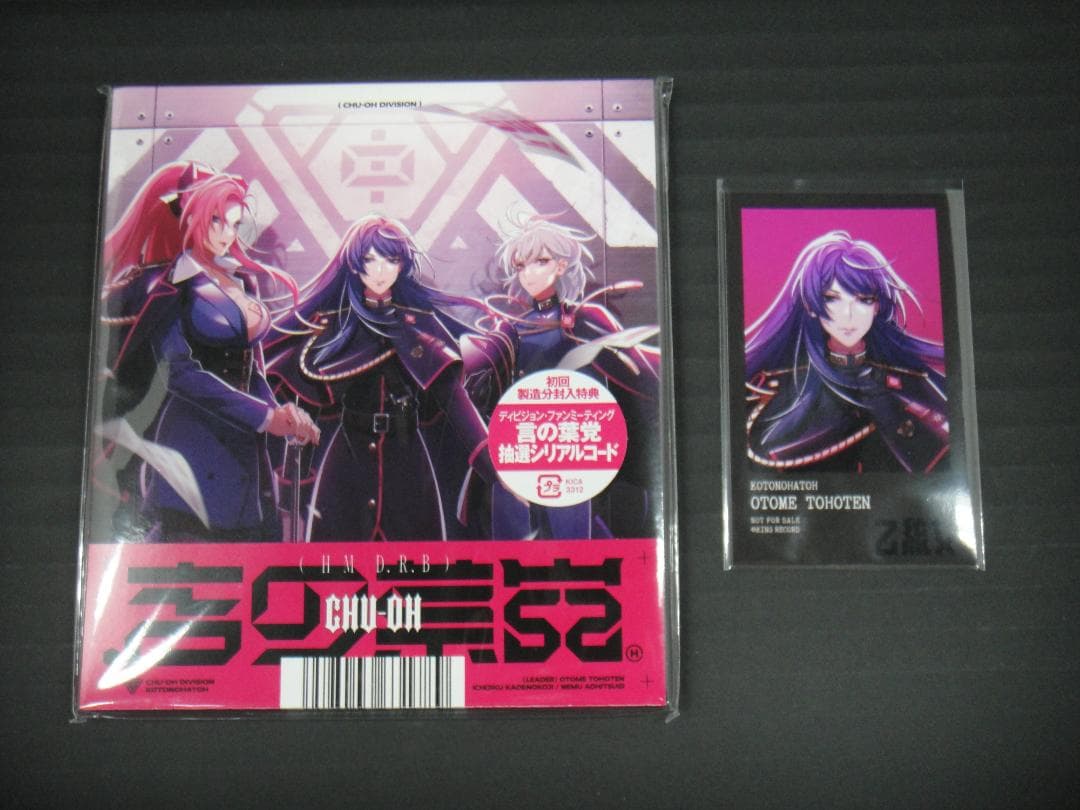 09▢ヒプマイ-Division Rap Battle-[初回]YT0917-4