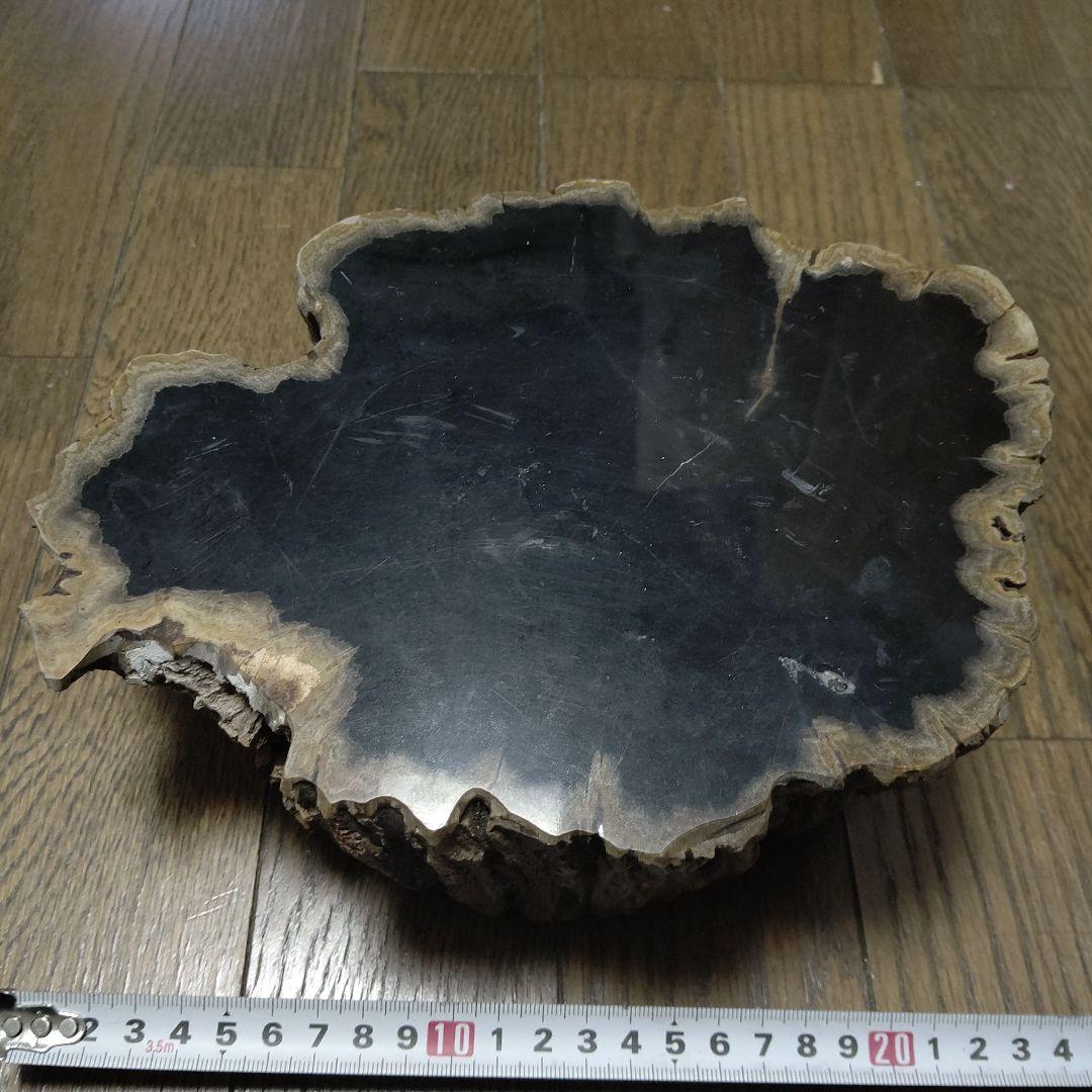 値下げ珪化木の置物　検木の化石　オブジェクトインテリアペトリファイドウッド