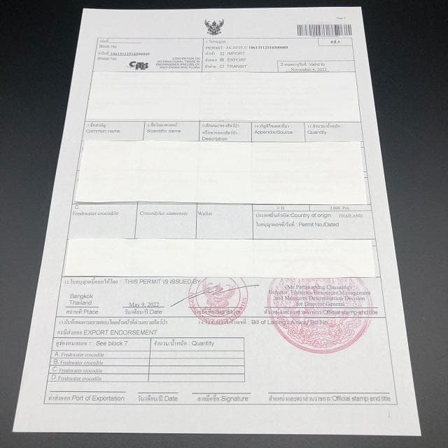 フォロー割適用　本物クロコ・腹革　シャム　クロコダイル商品　２点セット