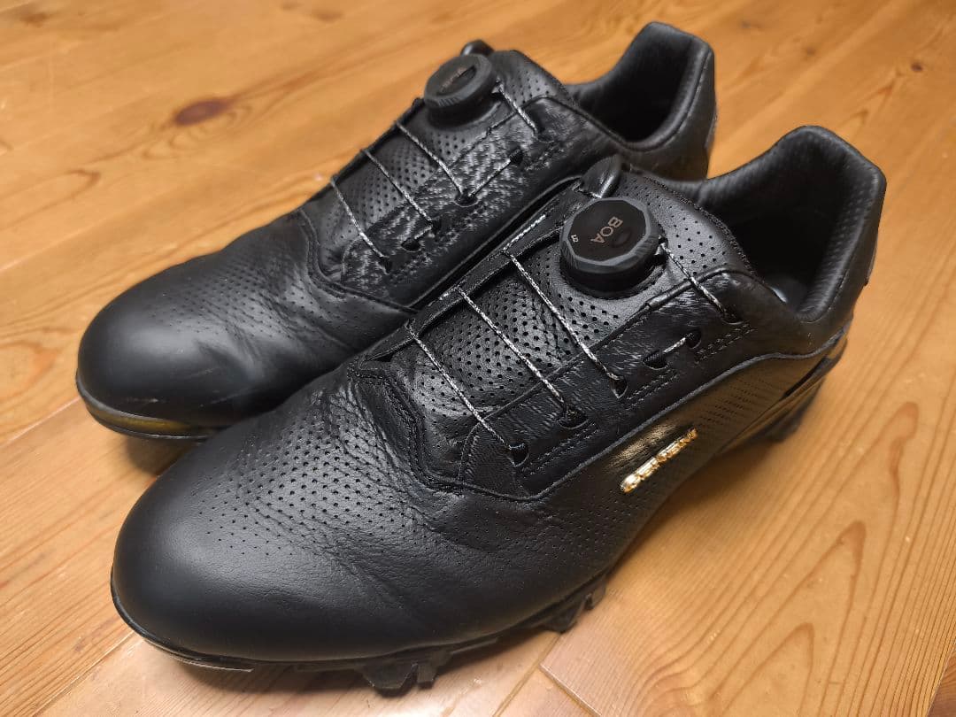 最終値下げ！ゴルフシューズ ジェネム PRO GTX BOA ミズノ